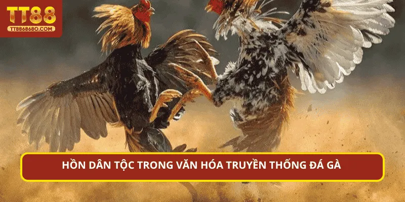 Hồn dân tộc trong văn hóa truyền thống đá gà